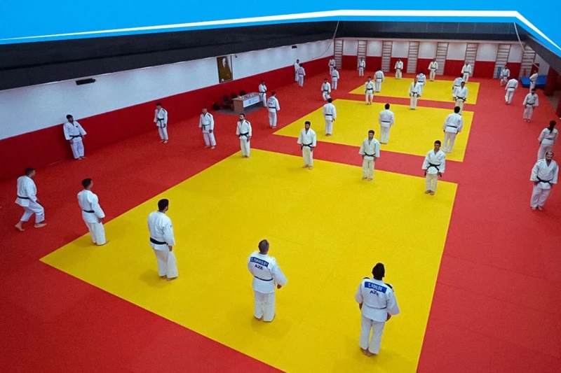 Judo Antrenörleri için Eğitim
